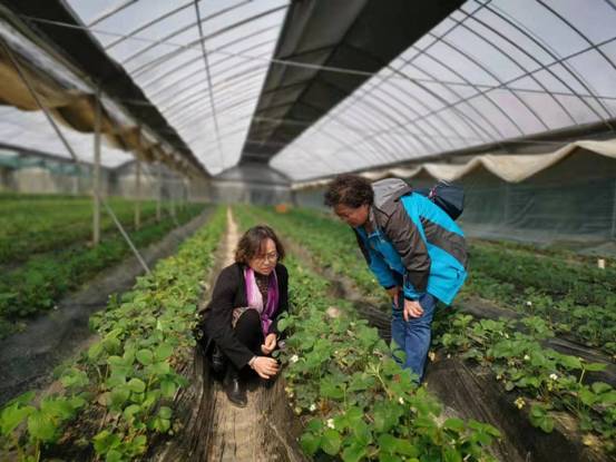 微信图片_201903111201366